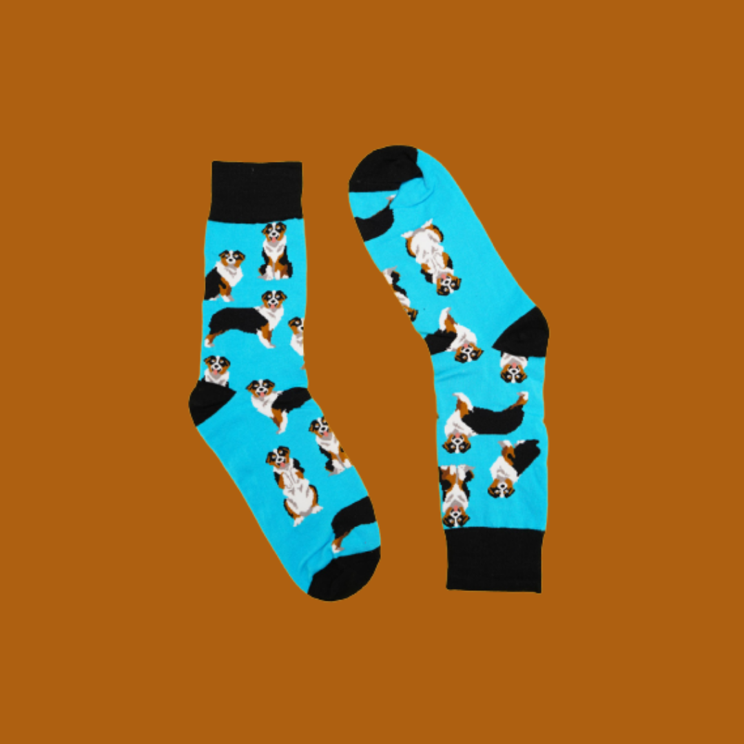 SOCK IT UP SOCKS - MANS BEST FRIEND