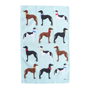 ALLGIFTS AUSTRALIA COTTON TEA TOWEL - GREYHOUNDS
