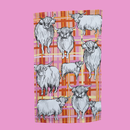 ALLGIFTS AUSTRALIA COTTON TEA TOWEL - HIGHLANDER COW
