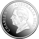 ROYAL AUSTRALIAN MINT $5 FINE SILVER PROOF 1oz 40MM COIN - AUSSIE BUBS